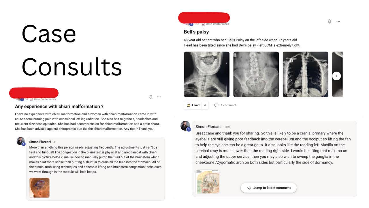 Chiropractic Mastery Course